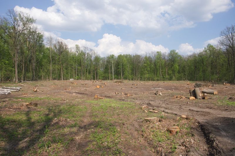 Commercial Land Clearing