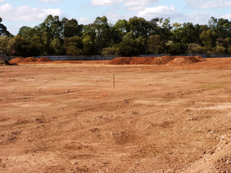 Vegetation Management