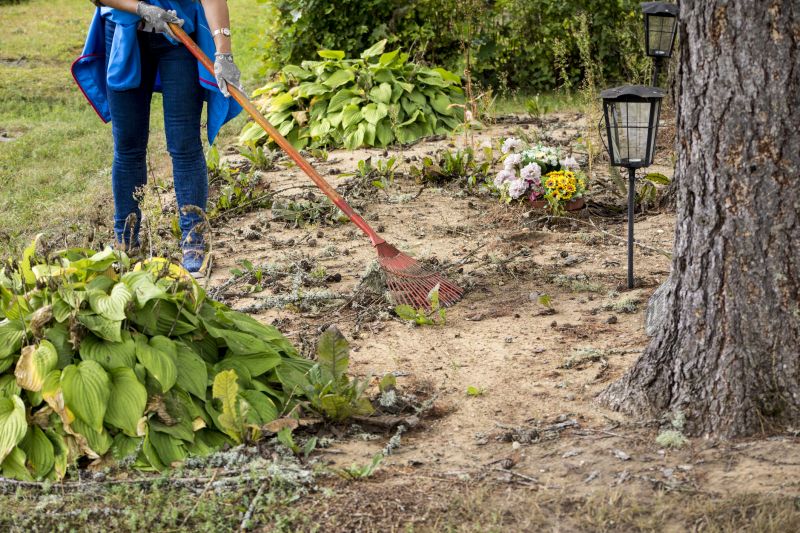 Specialized Clearing Services